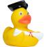 Badeente Absolvent