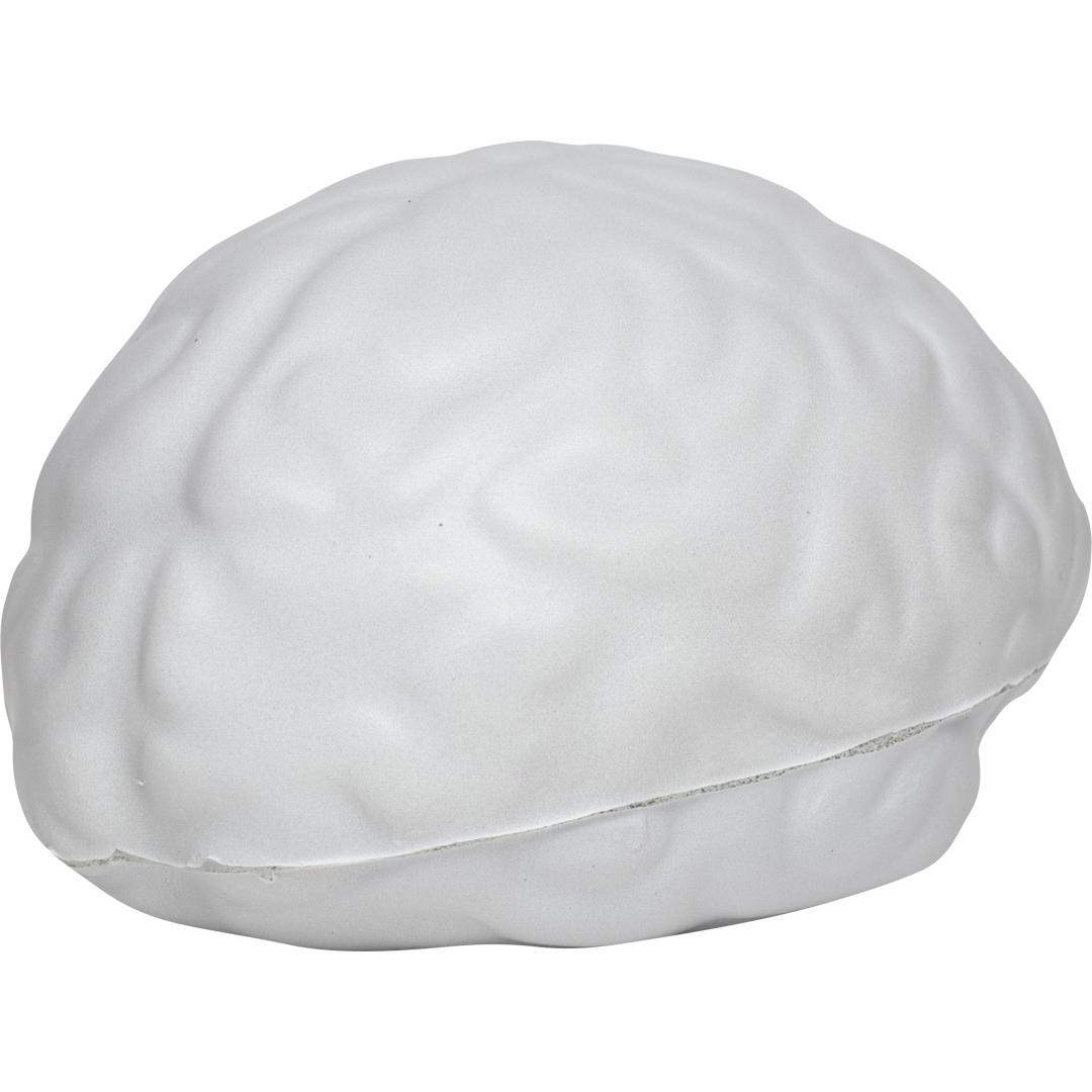 M124302 Gray - Brain - mbw