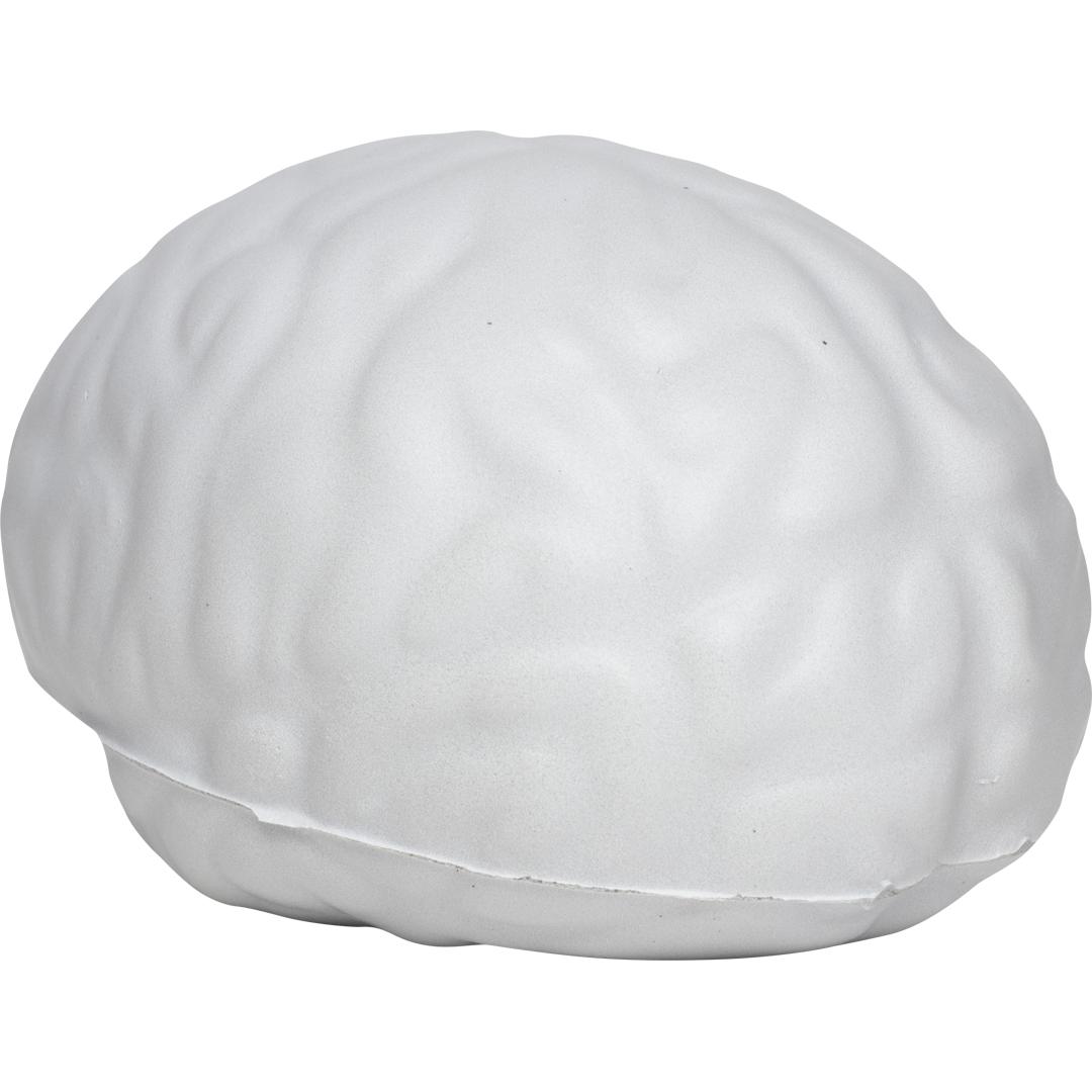 M124302 Gray - Brain - mbw