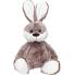 Hase Clemens