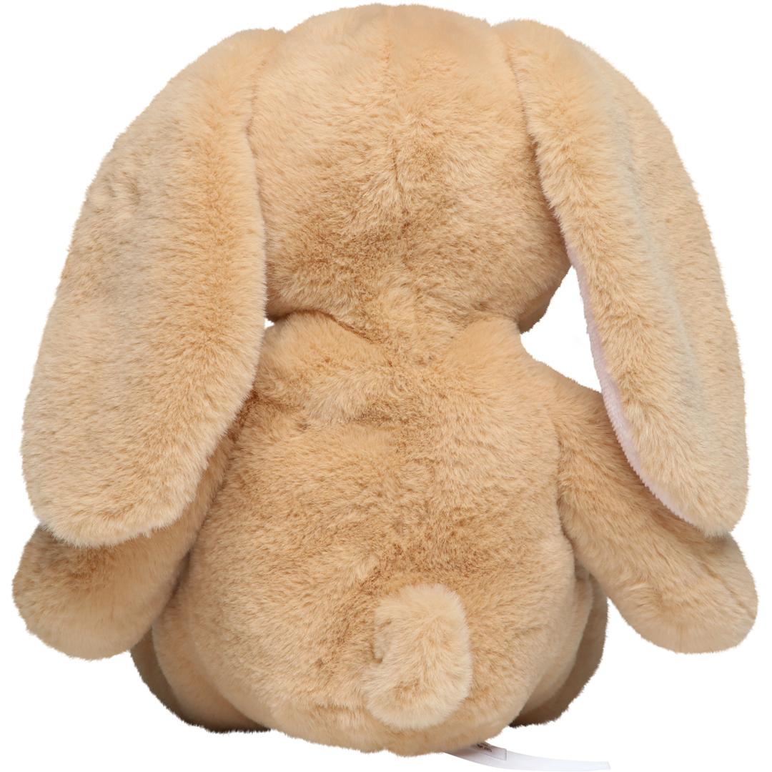 M160912 Braun - Hase Henni - mbw