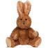 Hase Lina