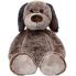 Hund Constantin