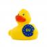 Quietsche-Ente Euro