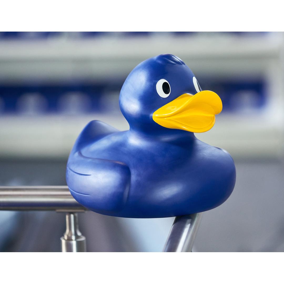 M131051 Blue - Rubber duck, giant - mbw