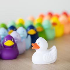 Classic Yellow Rubber Duck with Wings