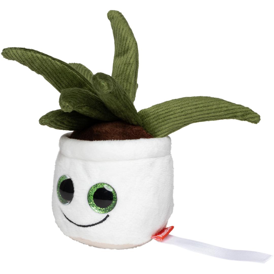 M160847 Multicoloured - Schmoozies® Evergreenies® Aloe Vera - mbw