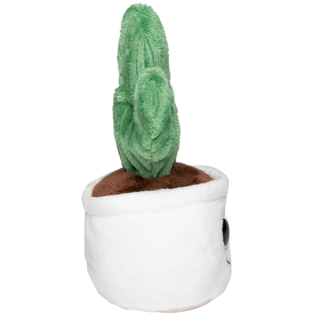 M160851 Multicoloured - Schmoozies® Evergreenies® Cactus - mbw