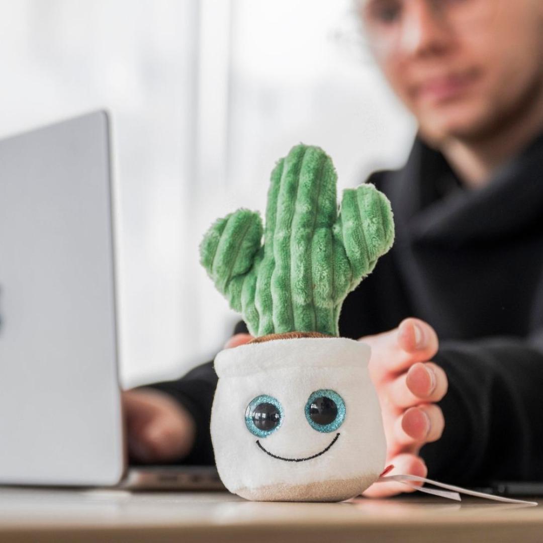 M160851 Multicoloured - Schmoozies® Evergreenies® Cactus - mbw