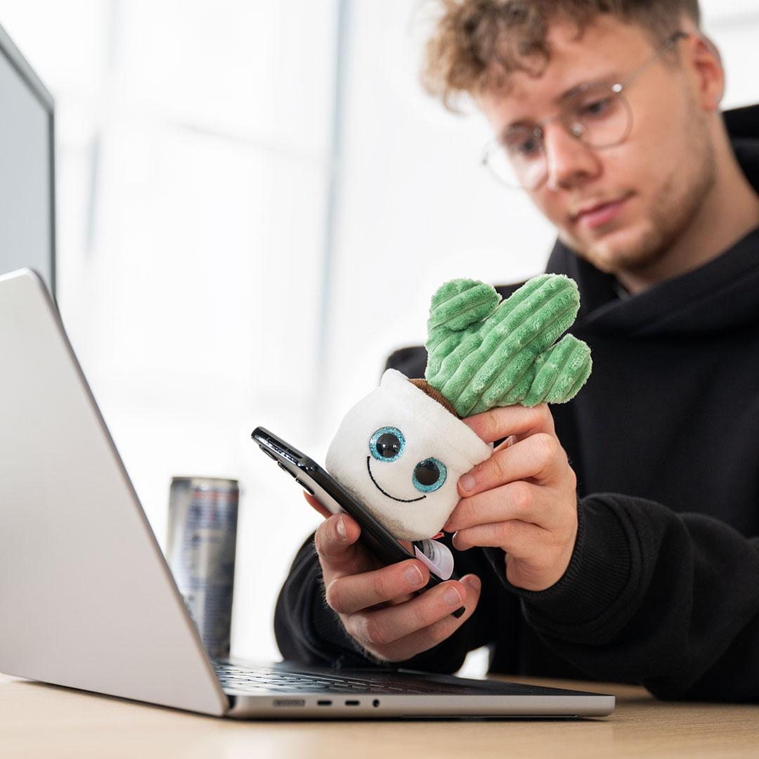 M160851 Multicoloured - Schmoozies® Evergreenies® Cactus - mbw