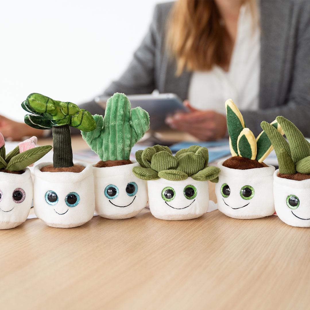 M160851 Multicoloured - Schmoozies® Evergreenies® Cactus - mbw