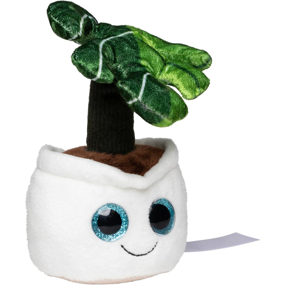 M160846 Multicolour - Schmoozies® Evergreenies® Monstera - mbw