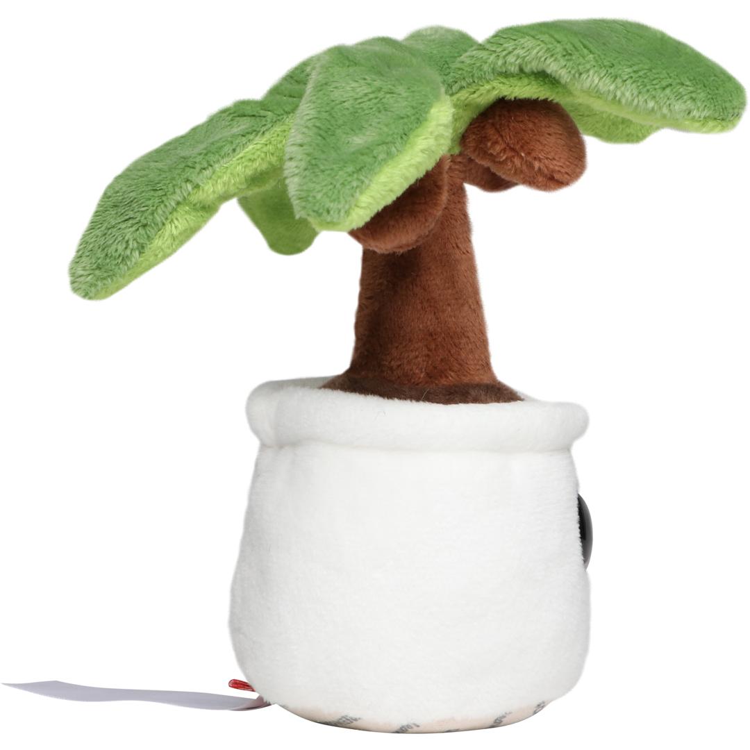 M160904 Multicoloured - Schmoozies® Evergreenies® Palm Tree - mbw