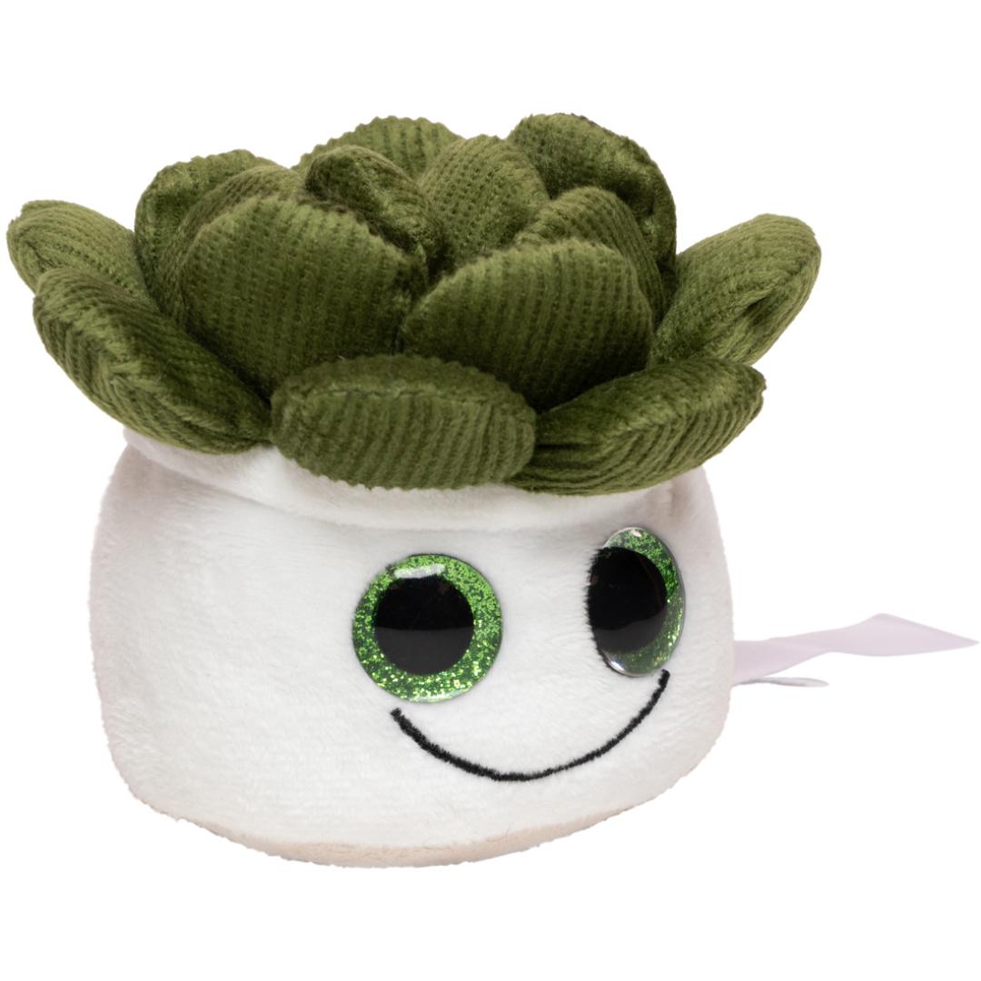 M160849 Multicoloured - Schmoozies® Evergreenies® Succulent - mbw