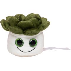 M160849  - Schmoozies® Evergreenies® Succulent - mbw