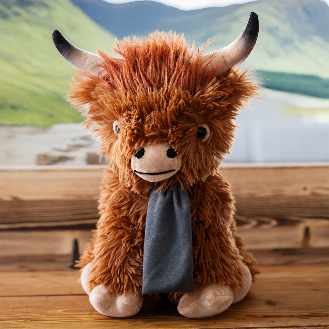 M160908 Braun - Schottisches Hochlandrind Bobby - mbw