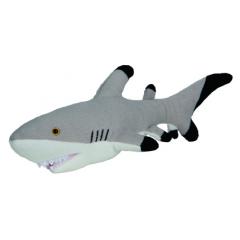 M160689  - Sharky Luis - mbw