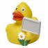 M131126 Yellow/orange - Squeaky duck CityDuck® - mbw