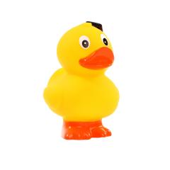 M131169 Multicoloured - Squeaky duck standing graduate - mbw
