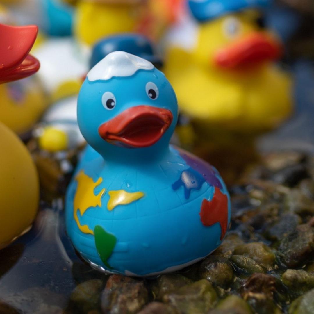 M131186 Multicoloured - Squeaky duck world - mbw