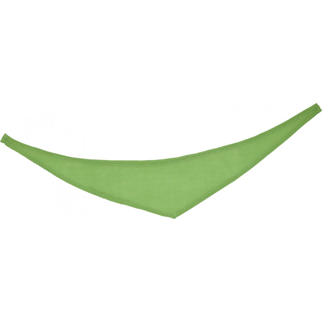 M160161 Light green - Triangular scarf - mbw