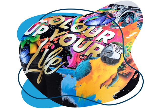 farbenfohe Transfers