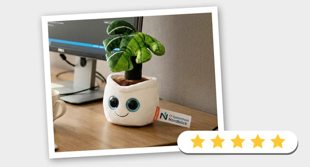 Kundenbeispiel Evergreenies