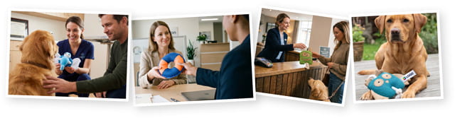 Fotos Anwendungsbeispiele
