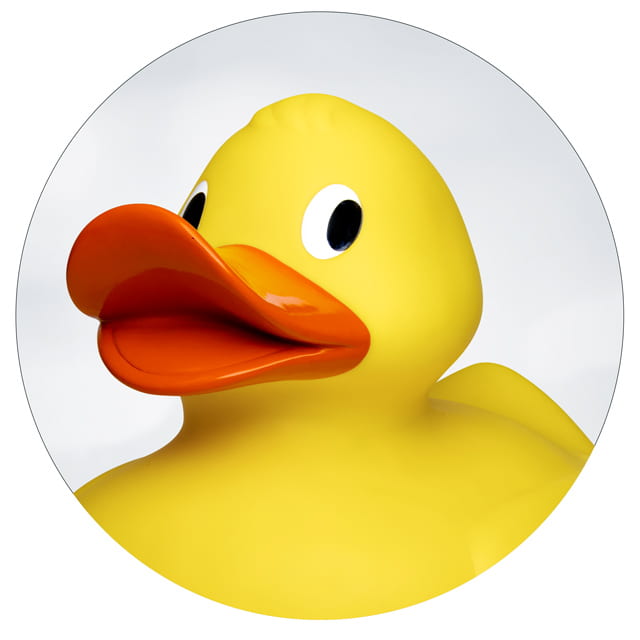 Icon Enten
