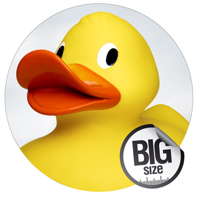 Icon Giant-Enten