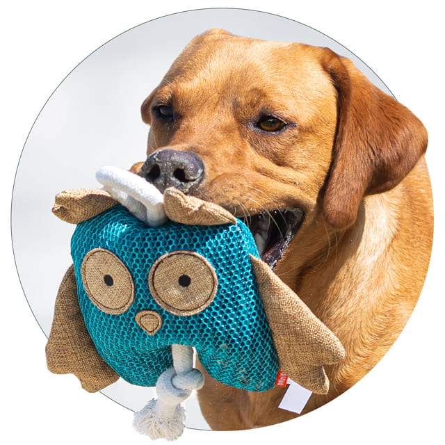 Icon Tierspielzeug