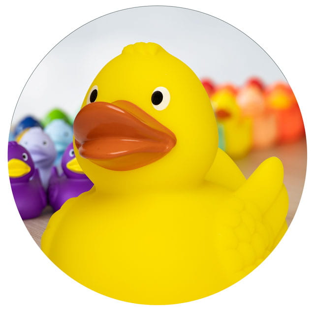 Icon Wings Ente